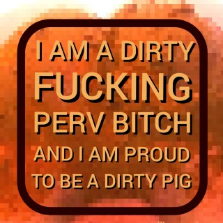 tb-proud-dirty-fucking-bitch-allinone_dus102e5359bef08a61