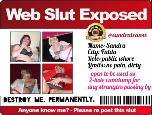 fag-exposed-Web-slut-sandratranse204dc92aef8ddbc2.jpeg