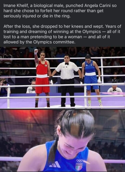 100000507016a123cb625a832c.jpeg