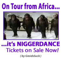059_Animated-Smiley_NiggerDance3f2668e93bbe1750.gif