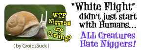 068_Animated-Smiley_TurboSnail---Niggers-Are-Coming_We-Outta-Herec08a4628f5fb5d33.gif