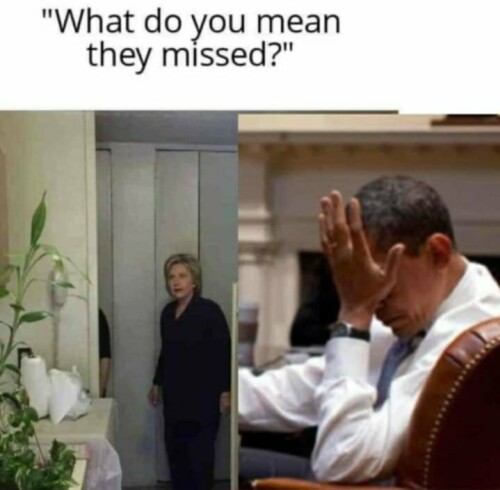 10000043921df9df61cc48bcc3.jpeg