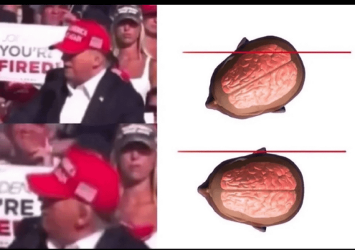 100000440846d363d58a39d162.png