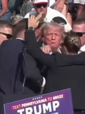 1000004427a9195332d344b4d0.gif