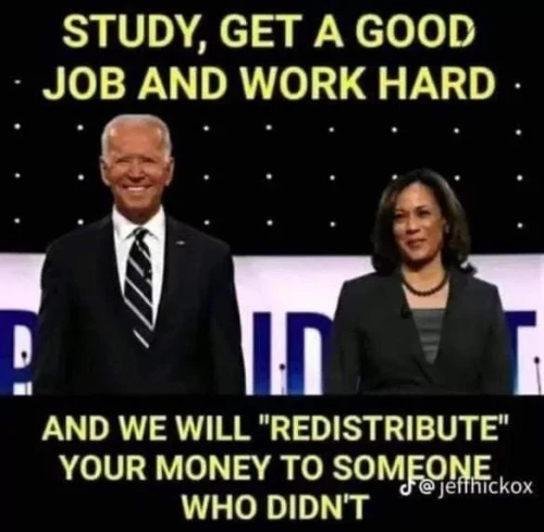 10000047430f64ef48a73774ed.webp