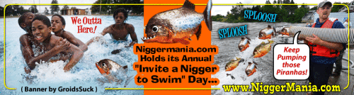 Animated-GIF_073_Invite-a-Nigger-to-Swim-Day320394ec3dd82041.gif
