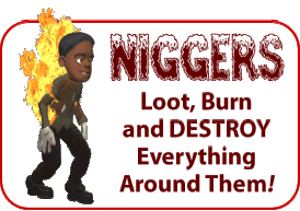Animated-GIF_Nigs-Burn-Loot-and-Destroyd3260a076470ae33.gif