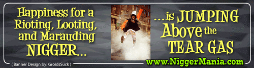 Animated-NM-Banner_013_Happiness-for-Rioting-Nig---Jumping-Above-the-Tear-Gasa1fafcd322d8ac53.gif