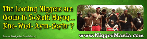 Animated-NM-Banner_015_Looting-Niggers-Comin-fo-Yo-Stuff40bdbc0d49da10d7.gif