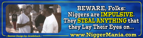 Animated-NM-Banner_018_Niggers-Will-Steal-Impulsivelyd1f35a0a836876f9.gif