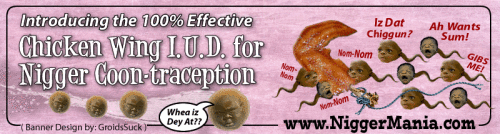 Animated-NM-Banner_022_Nigger-Chicken-Wing-IUD-for-COONtraception222f4ced4eebe585.gif