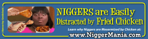 Animated-NM-Banner_043_Niggers-are-Distracted-By-Chicken1497536b055876a1.gif