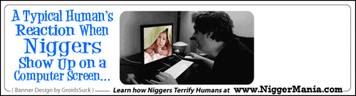 Animated-NM-Banner_057_Human-TERRIFIED-of-Nig-Image-on-Computer-Screenb5f7714a77021d60.gif
