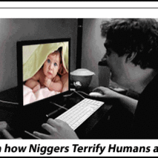 Animated-NM-Banner_057_Human-TERRIFIED-of-Nig-Image-on-Computer-Screenb5f7714a77021d60