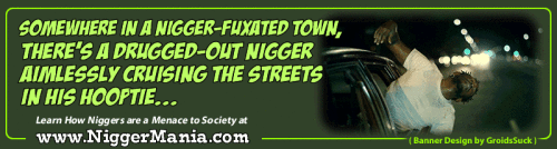 Animated-NM-Banner_058_Drugged-Out-Nigger-Cruising-the-Streets92ebe6bbd6432802.gif
