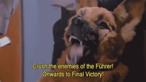 HBgNixOa53cc62c38957158.gif