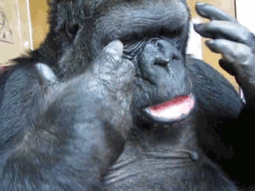 e75d2e57eb5bf4d5813004c421c02a20-34470683572e95e75516b0ceb4.gif