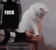 image0890de06c19118cc4.gif