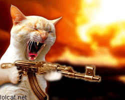 machine-gun-cat-animation6c476083ce9eb27b