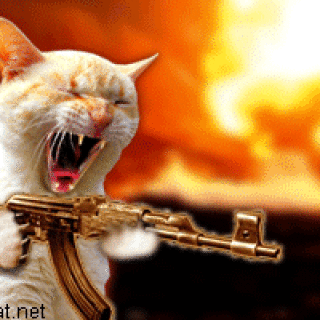 machine-gun-cat-animation6c476083ce9eb27b