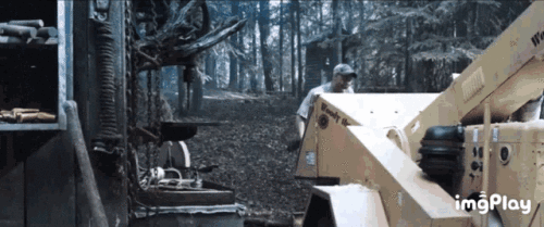 pizzagate-wood-chipper353af2b892311d56.gif