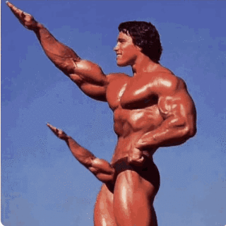 schwarzenegger-muscle73f0a93da67c164f