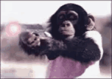 tenorfcba518fbfd872cc.gif