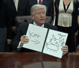 trump-executive-order-memes-1-58919d2ad509c_605576c7348d8c7d5e3.gif