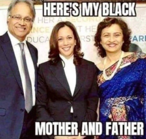 PHOTO-Heres-My-Black-Mother-And-Father-Kamala-Harris-Memeffd88c8ab07dce95.jpeg