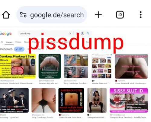 Google-pissdump-for-allinone5490b2826a92f0a9.jpeg