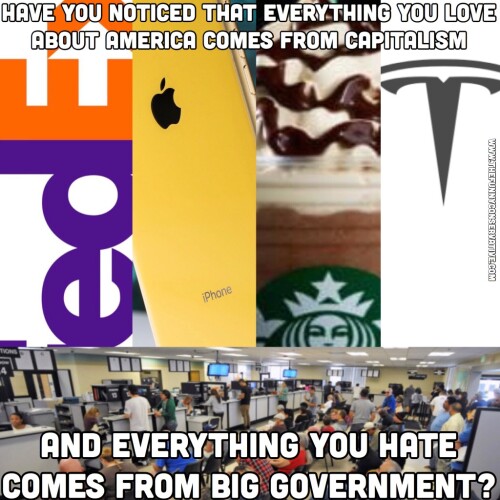 Socialism-Capitalsm-thefunnyconservative-original-FedEx-Apple-Starbucks-Teslaeb05e0648a8bcb0a.jpeg