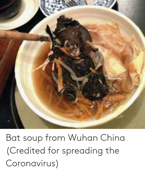 bat-soup-from-wuhan-china-credited-for-spreading-the-coronavirus-68480418ca56fe2649b40d7f.png