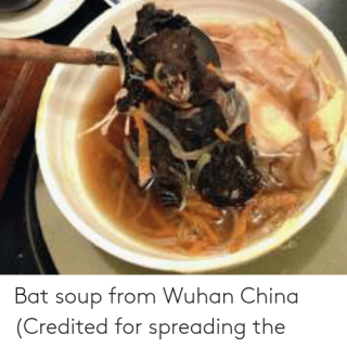 bat-soup-from-wuhan-china-credited-for-spreading-the-coronavirus-68480418ca56fe2649b40d7f