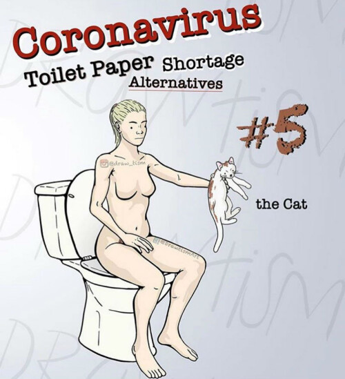 coronavirus-toilet-paper-shortage-alternatives-5c3186a183b368a0f.jpeg