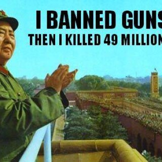 i-banned-guns-then-i-killed-49-million-people52649f679b17d331