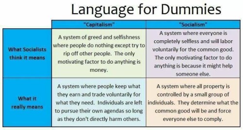 language-for-dummies-capitalism-vs-socialism9858d91dc17878a6.jpeg