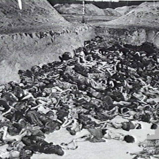 mass-grave-at-belsen-concentration-campd608a390b1ded593