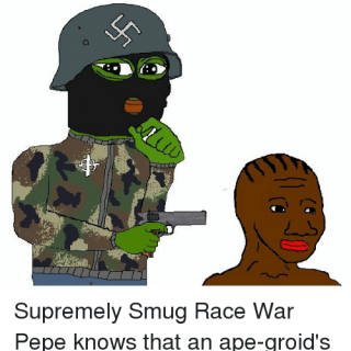 supremely-smug-race-war-pepe-knows-that-an-ape-groids-life-31054623-10f5600b87bf44777