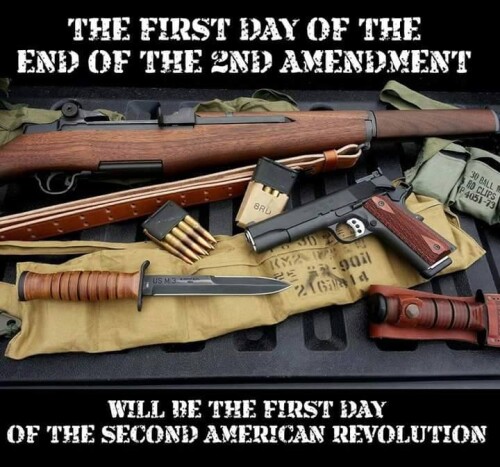 the-first-day-of-the-end-of-the-2nd-amendment-will-be-the-first-day-of-the-second-american-revolutionc9e22d931675d9a7.jpeg