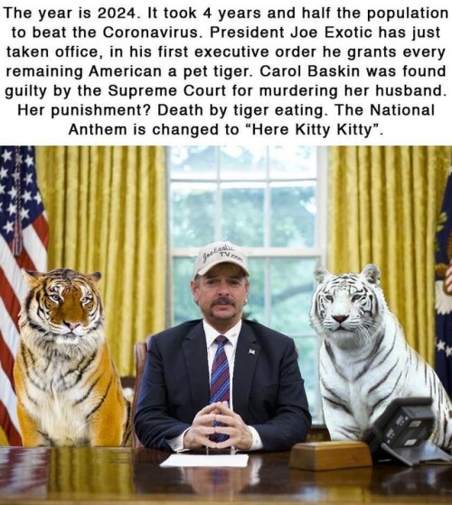 tiger-king-memes-45612bac0faa03aa05.jpeg