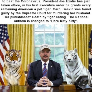 tiger-king-memes-45612bac0faa03aa05