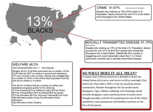 13-percent-blacks-2Zq7ZMG_dMU9b83baebc76d4cf9.jpeg