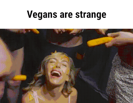 22-vegan-sex-is-strange-funny-adult-gifb9995c38558eba41.gif