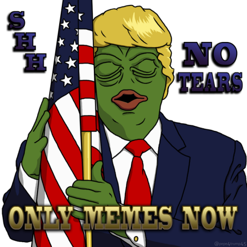 pepe_trump_shh13be37665715172f.png