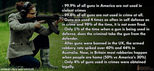 statistics-for-guns-usage42b78e845f8cecec.jpeg