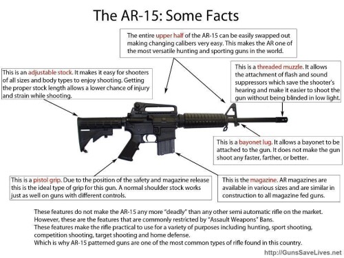 the-ar-15-some-factc554d7025849173b.jpeg