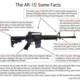 the-ar-15-some-factc554d7025849173b