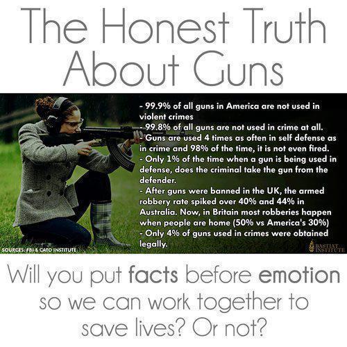 the_honest_truth_about_guns06ee60c6a9ca71e5.jpeg