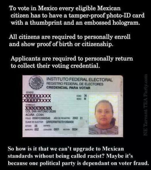 to-vote-in-mexico-every-eligible-mexican-citizen-has-to-have-a-tamper-proof-photo-id-cardc39f021a2ea810e1.jpeg