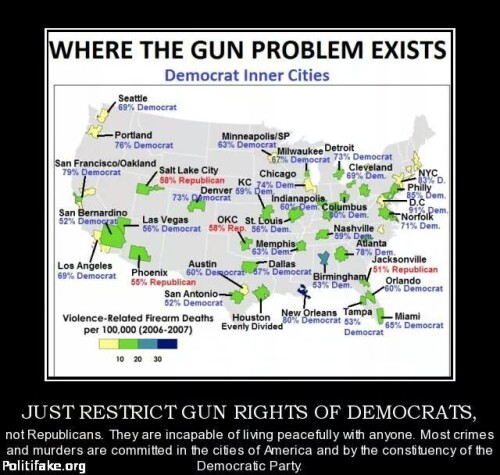 where-the-gun-problem-exists487e8813a385e8df.jpeg